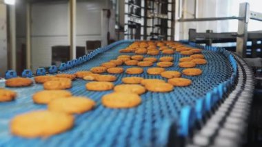 Endüstriyel gıda fabrikası veya fırın, otomatikleştirilmiş üretim hattındaki kurabiyeler veya taşıma bandı, şekerleme fabrikası veya fırın. 