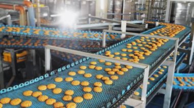 Endüstriyel gıda fabrikası veya fırın, otomatikleştirilmiş üretim hattındaki kurabiyeler veya taşıma bandı, şekerleme fabrikası veya fırın. 