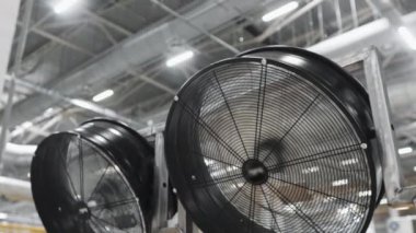 Endüstriyel gıda fabrikası veya fırın, otomatikleştirilmiş üretim hattında kurabiyeler veya taşıma bandı, şekerleme fabrikası veya fırın. İki büyük vantilatör taşıyıcı banttaki kurabiyeleri soğutur..