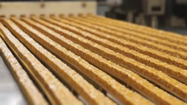 Fındıklı karamel çubukları kesim için konveyör şeridi boyunca hareket eder. Karamelli ve fıstıklı çikolata üretimi. Fındık çubukları şeker üreten bir şekerleme fabrikasında taşıma bandı boyunca hareket eder..