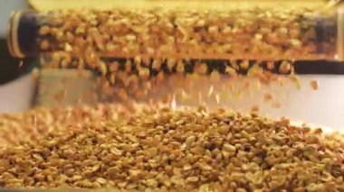 Taşıyıcı bantta kavrulmuş fıstık. Fındık fabrikasındaki operasyonları sıralıyorum. Kavrulmuş fıstık paketleme üretim hattı. 