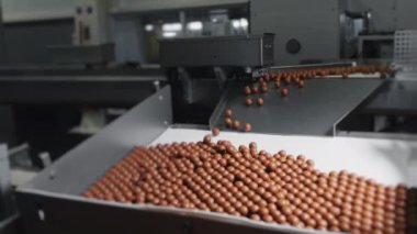 Çikolata fabrikasında taşıma bandı. Çikolata dökülüyor. Çikolata topları paketleme için konveyör bandına düşer. Şekerlemeler ve çikolatalar için şekerleme fabrikası.