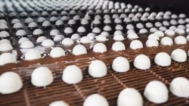 Çikolata fabrikasında taşıma bandı. Şeker üretimi. Beyaz yuvarlak jöleli şekerler, şekerleme üreten bir şekerleme fabrikasının konveyör bandı boyunca ilerler. Çikolata kaplı tatlılar..
