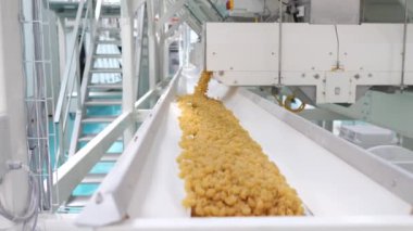 Modern makarna fabrikası. Modern bir gıda üretim fabrikasının makine biriminden çıkan kuru makarnanın yakın çekimi. Makarna üretimi için taşıma hattı.