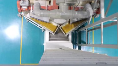 Modern makarna fabrikası. Modern bir gıda üretim tesisinde makine biriminden çıkan kuru makarna. Makarna üretimi için konveyör hattı. Üst görünüm.