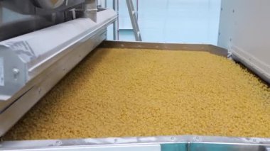 Modern makarna fabrikası. Modern bir gıda üretim fabrikasının makine biriminden çıkan kuru makarnanın yakın çekimi. Makarna üretimi için taşıma hattı.