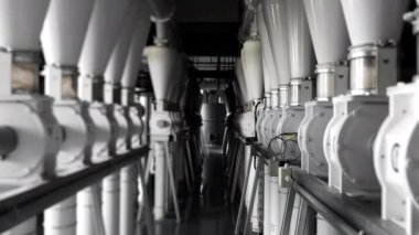 Otomatik öğütülmüş buğday unu. Tahıl işleme ve un üretimi için modern fabrika kompleksi. Tahıl borulardan geçip değirmene gidiyor. Değirmen fabrikası. Pişirme için un üretimi.