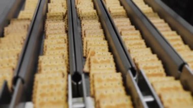 Modern kraker üretimi. Krakerler fabrikada taşıma bandı boyunca hareket ederler. Şekerleme fabrikası.