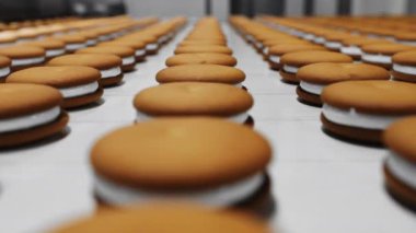 Bir şekerleme fabrikasında çikolatalı turta üretimi. İçinde beyaz şekerlemeler olan kurabiyeler taşıyıcı bant boyunca hareket ediyor. Modern şekerleme fabrikası.
