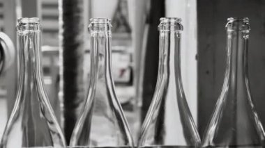 Fabrikadaki içkileri şişelemek için bir teknoloji hattı. Boş cam şampanya şişeleri taşıyıcı bant boyunca hareket eder. Fabrikada şampanya ve şarap şişeleme kuyruğu. Köpüklü içecek üretimi.