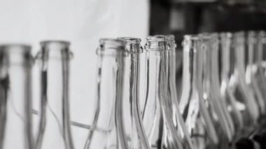 Fabrikadaki içkileri şişelemek için bir teknoloji hattı. Boş cam şampanya şişeleri taşıyıcı bant boyunca hareket eder. Fabrikada şampanya ve şarap şişeleme kuyruğu. Köpüklü içecek üretimi.