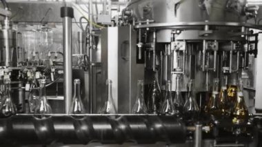 Fabrikadaki içkileri şişelemek için bir teknoloji hattı. Şampanyayı cam şişelere doldurmak için taşıyıcı. Fabrikada şampanya ve şarap şişeleme hattı. Köpüklü içecek üretimi.
