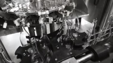  Boş cam şampanya şişeleri taşıyıcı bant boyunca hareket eder. Doldurmadan önce şişeleri yıkama işlemi. Fabrikada içecek, su ve limonata için şişeleme hattı. İçecek üretim tesisi.
