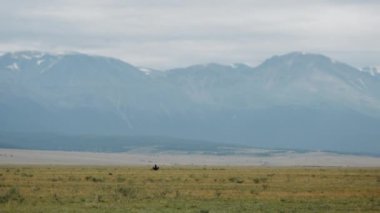 Bir motosikletli yüksek dağların arasında bozkırda bisiklet sürüyor. Motosikletli bir turist. Dağlarda motosiklet turizmi.