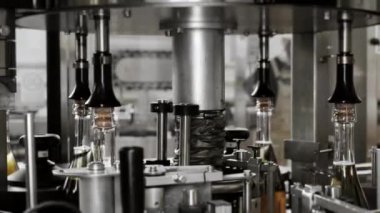 Mantarı şampanya şişelerine bağlama işlemi. Fabrikadaki içkileri şişelemek için bir teknoloji hattı. Fabrikada şampanya ve şarap şişeleme hattı. Köpüklü içecek üretimi.