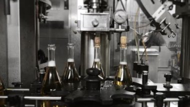  Şampanya şişelerine otomatik mantar yerleştirme işlemi. Fabrikadaki içkileri şişelemek için bir teknoloji hattı. Fabrikada şampanya ve şarap şişeleme hattı. Köpüklü içecek üretimi.