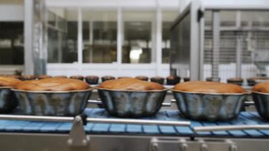 Taze pişmiş kekler fırından taşıyıcıya taşınır. Modern bir şekerleme fabrikasında kapkek üretimi. Otomatik kek üretimi.