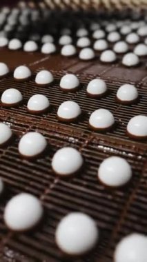  Şeker üretimi. Beyaz yuvarlak jöleli şekerler, şekerleme üreten bir şekerleme fabrikasının konveyör bandı boyunca ilerler. Çikolata kaplı şekerler. Dikey video.