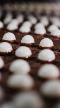  Şeker üretimi. Beyaz yuvarlak jöleli şekerler, şekerleme üreten bir şekerleme fabrikasının konveyör bandı boyunca ilerler. Çikolata kaplı şekerler. Dikey video.