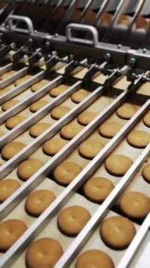 Bir şekerleme fabrikasında çikolatalı turta üretimi. Dolgu için kurabiye ayırıyorum. Modern şekerleme fabrikası. Dikey video.