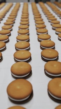 Bir şekerleme fabrikasında çikolatalı turta üretimi. İçinde beyaz şekerlemeler olan kurabiyeler taşıyıcı bant boyunca hareket ediyor. Modern şekerleme fabrikası. Dikey video.