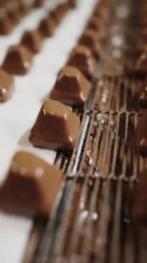 Çikolata fabrikasında taşıma bandı. Gofret tatlısı üretimi. Wafer şekerlemeleri bir şekerleme fabrikasında şekerleme ürünleri üreten bir konveyör şeridi boyunca ilerler. Dikey video.