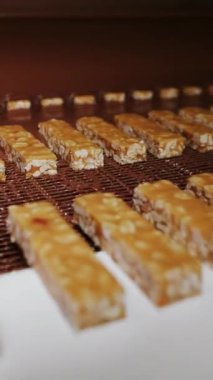 Fındıklı çikolatalar çikolatayla doldurulur. Fıstıklı ve fındıklı çikolata üretimi. Şekerleme fabrikasında şeker üretimi için barlar konveyör bandı boyunca ilerler. 