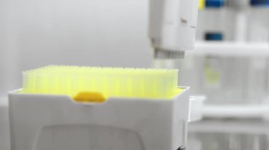 Pipet kutusundan çıkan pipeti çok kanallı otomatik pipetin üstüne koymaya yakın plan. Modern bir laboratuvarda DNA üzerinde çalışma kavramı. Genetik araştırma laboratuvar deneyleri.