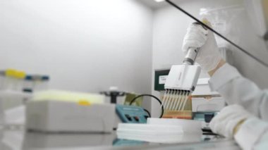 Bir genetik laboratuvarı araştırmacısı çok kanallı bir pipetle numune bırakıyor. Modern bir laboratuvarda DNA üzerinde çalışma kavramı. Bilim ve tıp. Genetik Çalışmalar İçin Laboratuar Deneyleri.