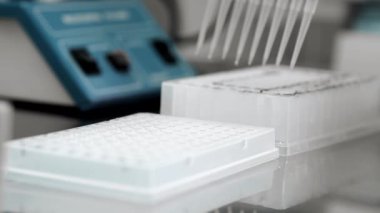 Bir genetik laboratuvarı araştırmacısı çok kanallı bir pipetle numune bırakıyor. Modern bir laboratuvarda DNA üzerinde çalışma kavramı. Bilim ve tıp. Genetik Çalışmalar İçin Laboratuar Deneyleri.