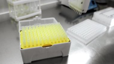 Pipet kutusundan çıkan pipeti çok kanallı otomatik pipetin üstüne koymaya yakın plan. Modern bir laboratuvarda DNA üzerinde çalışma kavramı. Genetik araştırma laboratuvar deneyleri.