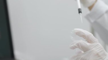 Beyaz eldivenli bir bilim adamının, otomatik pipetli bir epindorf 'a örnek damlatırken yakın çekimi. Araştırma ve Bilim.