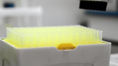 Pipet kutusundan çıkan pipeti çok kanallı otomatik pipetin üstüne koymaya yakın plan. Modern bir laboratuvarda DNA üzerinde çalışma kavramı. Genetik araştırma laboratuvar deneyleri.