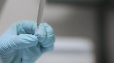 Beyaz eldivenli bir bilim adamının, otomatik pipetli bir epindorf 'a örnek damlatırken yakın çekimi. Araştırma ve Bilim.