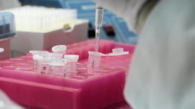 Bir genetik laboratuvarı araştırmacısı bir pipetle numune bırakıyor. Modern bir laboratuvarda DNA üzerinde çalışma kavramı. Bilim ve tıp. Genetik Çalışmalar İçin Laboratuar Deneyleri.