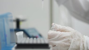 Beyaz eldivenli bir bilim adamının, otomatik pipetli bir epindorf 'a örnek damlatırken yakın çekimi. Araştırma ve Bilim.