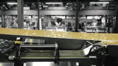 Modern kraker üretimi. Krakerler fabrikada taşıma bandı boyunca hareket ederler. Şekerleme fabrikası.