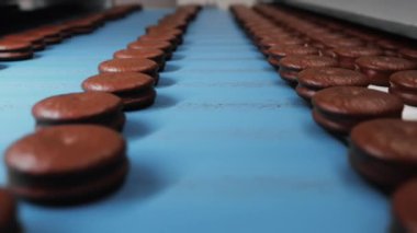 Endüstriyel gıda fabrikası veya fırın, otomatikleştirilmiş üretim bandı, konveyör bandı, şekerleme fabrikası veya fırın üzerindeki çikolata kaplı kurabiyeler. Çikolatalı Turta Yapıyorum.