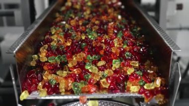 Jelibon ayılar fabrika taşıma bandı boyunca hareket ederler. Şekerleme fabrikasında marmelat üretimi. Çok renkli marmelat. Modern şekerleme fabrikası.