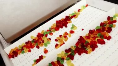 Jelibon ayılar fabrika taşıma bandı boyunca hareket ederler. Şekerleme fabrikasında marmelat üretimi. Çok renkli marmelat. Modern şekerleme fabrikası.