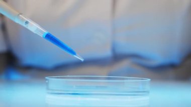 Sıvı damlacıkların bir bilim laboratuarında bir pipetten bir petri kabına düşmesi. Laboratuvar tıbbi araştırması. Virüsü inceliyorum. Laboratuvar testi.