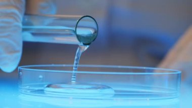 Laboratuvar bilimcisinin kapağı laboratuardaki bir deney tüpünden bir petri kabına mavi sıvı döküyor. Laboratuvarda zehirli mavi sıvı üzerinde çalışıyorum..