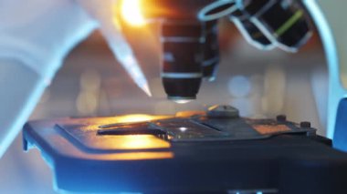 Beyaz eldivenli bir bilim adamı mikroskobun camına sıvı örneği yerleştiriyor. Mikroskop altında sıvı örneğinin incelenmesi. Modern bilim laboratuvarı.