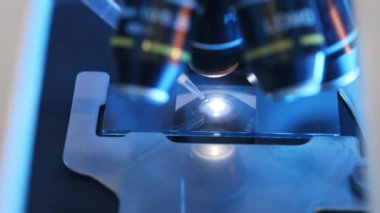 Beyaz eldivenli bir bilim adamı mikroskobun camına sıvı örneği yerleştiriyor. Mikroskop altında sıvı örneğinin incelenmesi. Modern bilim laboratuvarı.