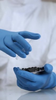 Mavi eldivenli ve koruyucu giysili bir araştırmacı bir çift cımbız kullanarak petri kabından toprak örneği alıyor ve ona bakıyor. Bilimsel tarım laboratuvarı. Dikey video.
