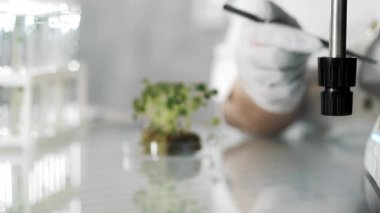 Tıbbi eldivenli bir bilim adamının mikroskopla biyoloji laboratuvarında çalışması. Bir bilim adamı laboratuvarda araştırma yapar. Eko ürünler. Modern gıda laboratuvarı.