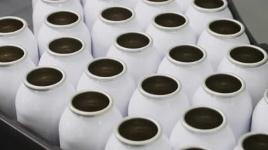 Boş sprey kutuları dolum tesisinin taşıyıcı bandı boyunca hareket eder. Beyaz sprey kutuları. Sprey üretebilir. Kozmetik fabrikası. Deodorant sprey üretimi.