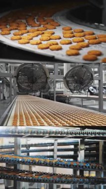 Endüstriyel gıda fabrikası veya fırın çoklu ekran kolajı, otomatikleştirilmiş üretim hattındaki kurabiyeler veya taşıma bandı, şekerleme fabrikası veya fırın. Dikey video.