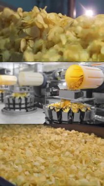 Patates cipslerinden oluşan çoklu ekran kolajı fabrikada endüstriyel taşıma bandında son buluyor. Kızarmış cips yığını fabrikadaki bir konteynırda son buluyor. Chips Fabrikası. Dikey video.