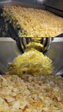 Patates cipslerinden oluşan çoklu ekran kolajı fabrikada endüstriyel taşıma bandında son buluyor. Kızarmış cips yığını fabrikadaki bir konteynırda son buluyor. Chips Fabrikası. Dikey video.